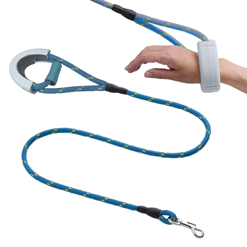 青色のハンズフリーリードの外観写真